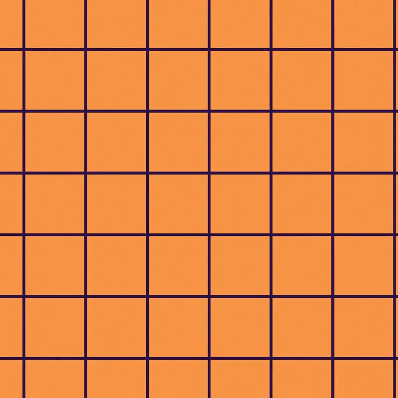 Viola e arancio 1