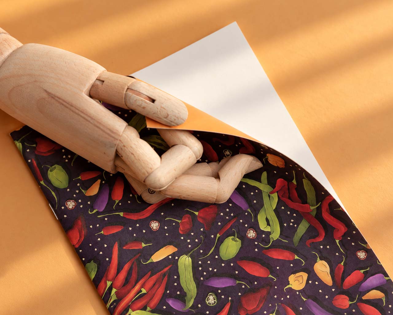 asp_notebook_gallery.42